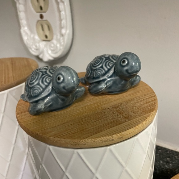 3/$10 Turtle Salt & Pepper Shakers- Cracker Barrel - Picture 3 of 12